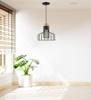 METAL HANGING LIGHT IN BLACK FINISH-1
