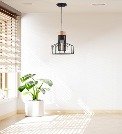 METAL HANGING LIGHT IN BLACK FINISH-1