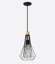 METAL HANGING LIGHT IN BLACK FINISH-2