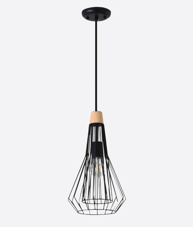 METAL HANGING LIGHT IN BLACK FINISH-2