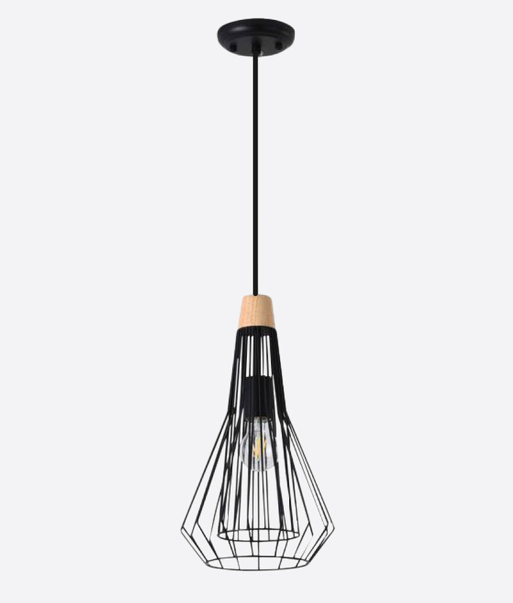 METAL HANGING LIGHT IN BLACK FINISH-2