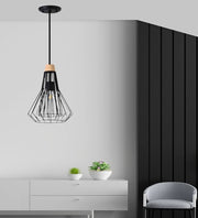 METAL HANGING LIGHT IN BLACK FINISH-2