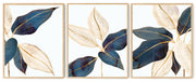 AUCUBA ILLUSTRATIVE BOTANICAL FRAMES WITH GLASS- SET OF 3