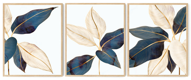 AUCUBA ILLUSTRATIVE BOTANICAL FRAMES WITH GLASS- SET OF 3