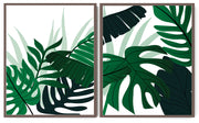 FERN PETIOLE CHUNKY MONSTERA PLANT ART FRAMES WITH GLASS- SET OF 2