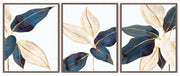 AUCUBA ILLUSTRATIVE BOTANICAL FRAMES WITH GLASS- SET OF 3