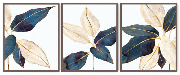 AUCUBA ILLUSTRATIVE BOTANICAL FRAMES WITH GLASS- SET OF 3