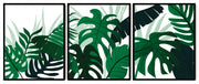 NATURAL THEME GREENY MONSTERA PLANT ART FRAMES WITH GLASS- SET OF 3