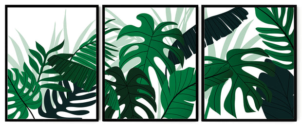 NATURAL THEME GREENY MONSTERA PLANT ART FRAMES WITH GLASS- SET OF 3