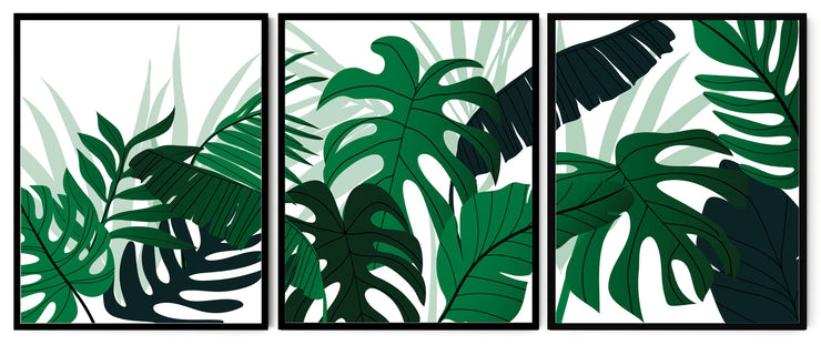 NATURAL THEME GREENY MONSTERA PLANT ART FRAMES WITH GLASS- SET OF 3