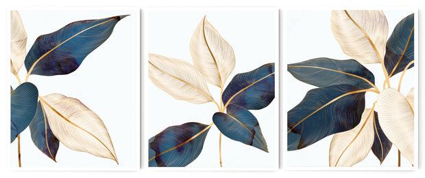 AUCUBA ILLUSTRATIVE BOTANICAL FRAMES WITH GLASS- SET OF 3