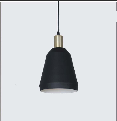 BLACK AND WHITE RAVISHING HANGING LIGHT