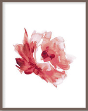 RED ROSE FLOWER BOTANICAL PICTURE FRAME WITH GLASS- SINGLE (2) BY ALEXANDER A. PARKS