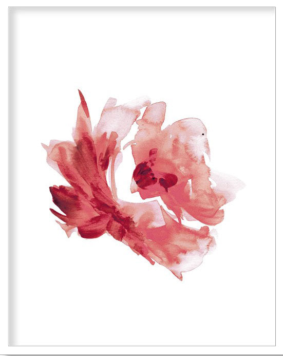 RED ROSE FLOWER BOTANICAL PICTURE FRAME WITH GLASS- SINGLE (2) BY ALEXANDER A. PARKS