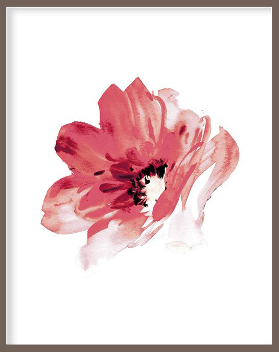 RED ROSE FLOWER BOTANICAL PICTURE FRAME WITH GLASS- SINGLE (1) BY ALEXANDER A. PARKS