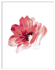 RED ROSE FLOWER BOTANICAL PICTURE FRAME WITH GLASS- SINGLE (1) BY ALEXANDER A. PARKS