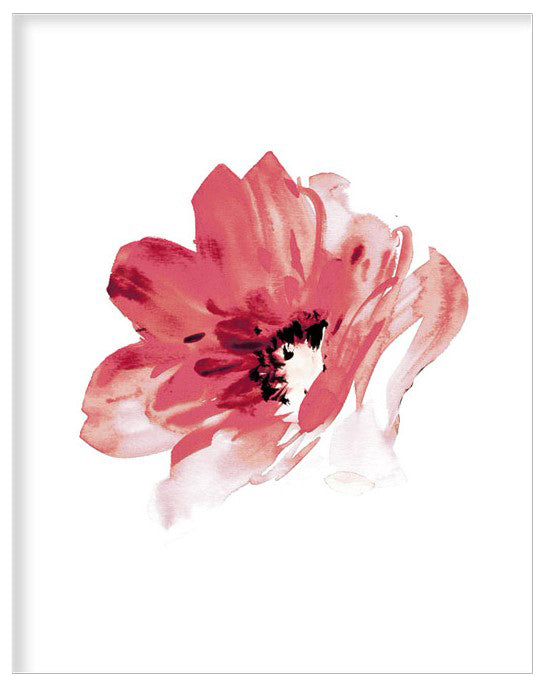 RED ROSE FLOWER BOTANICAL PICTURE FRAME WITH GLASS- SINGLE (1) BY ALEXANDER A. PARKS