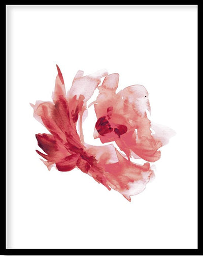 RED ROSE FLOWER BOTANICAL PICTURE FRAME WITH GLASS- SINGLE (2) BY ALEXANDER A. PARKS
