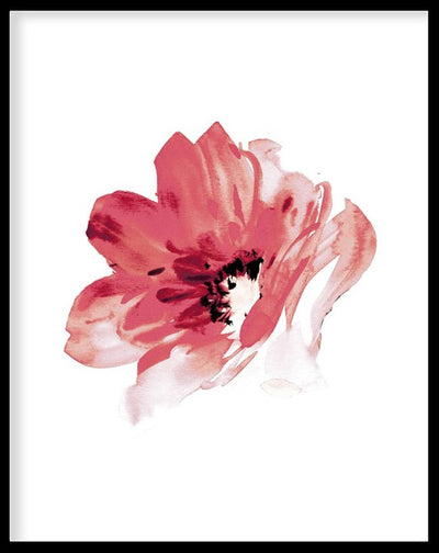 RED ROSE FLOWER BOTANICAL PICTURE FRAME WITH GLASS- SINGLE (1) BY ALEXANDER A. PARKS