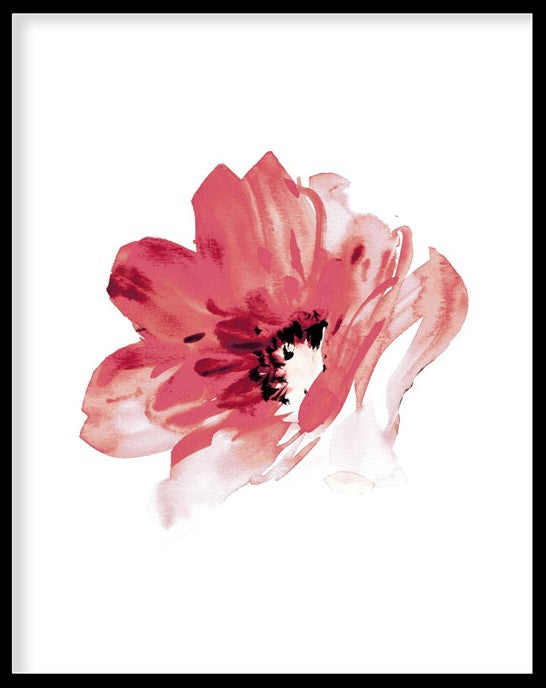 RED ROSE FLOWER BOTANICAL PICTURE FRAME WITH GLASS- SINGLE (1) BY ALEXANDER A. PARKS
