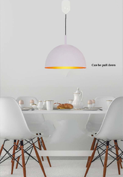BLACK AND GOLDEN URBANE HANGING LIGHT