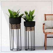 BLACK & GOLDEN IRON PLANTER