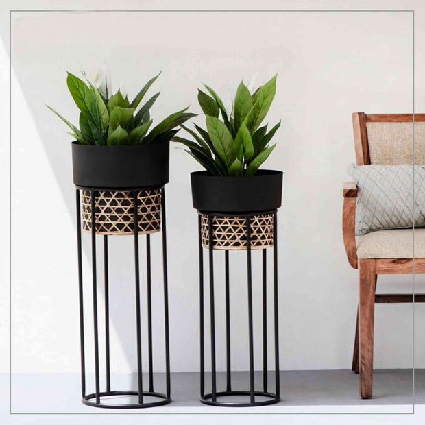 BLACK & GOLDEN IRON PLANTER