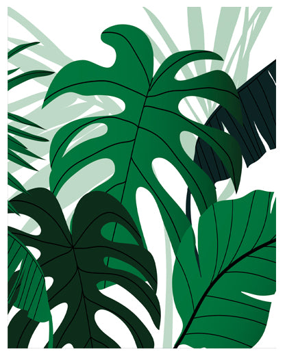 GLACIOUS GREEN MONSTERA PLANT ART FRAME WITH GLASS- SINGLE