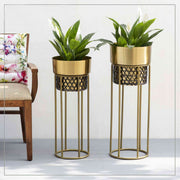 BLACK & GOLDEN IRON PLANTER