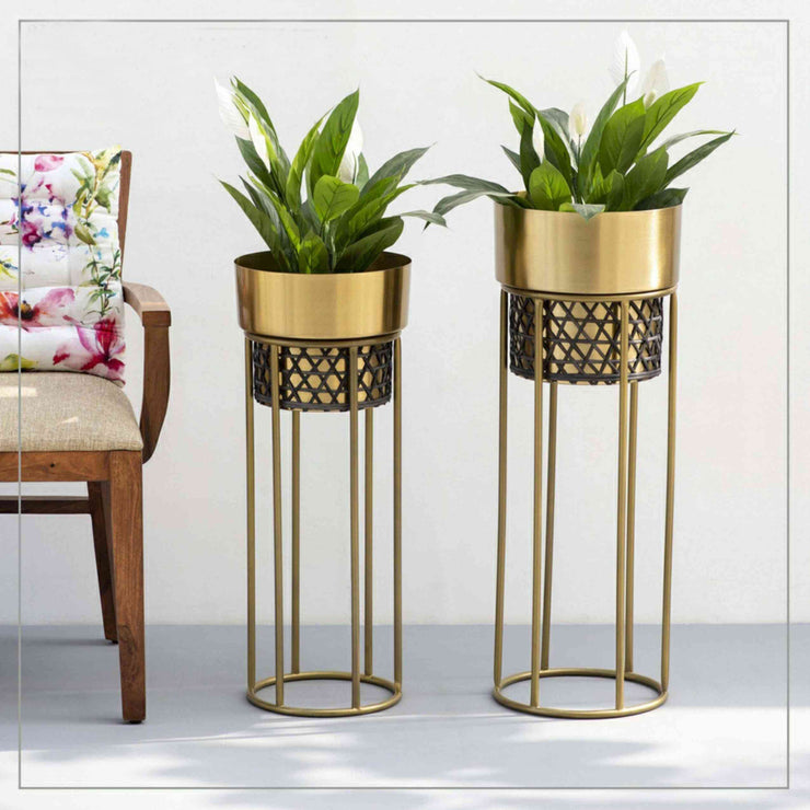 BLACK & GOLDEN IRON PLANTER