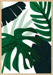 LINCOLN GREEN CLUSTER MONSTERA PLANT ART FRAME WITH GLASS- SINGLE