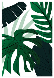 LINCOLN GREEN CLUSTER MONSTERA PLANT ART FRAME WITH GLASS- SINGLE