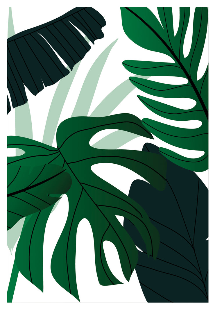 LINCOLN GREEN CLUSTER MONSTERA PLANT ART FRAME WITH GLASS- SINGLE