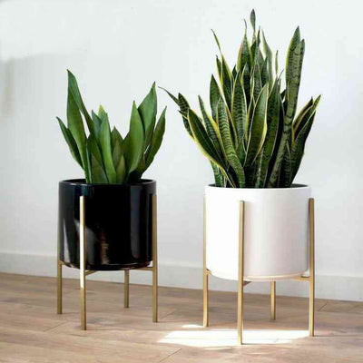 POLY FAB CERAMIC INDOOR DESK POT