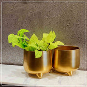 BRIGHT GOLD GLIDED ANTIQUE DESK POT