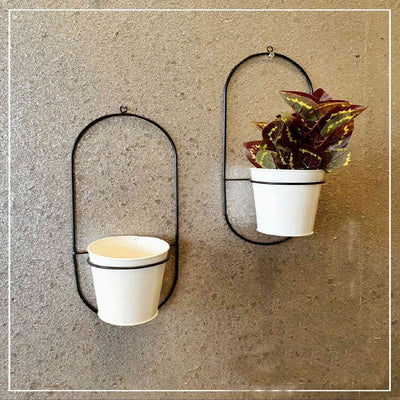 WALL MOUNTED BLACK METALLIC PLANTER