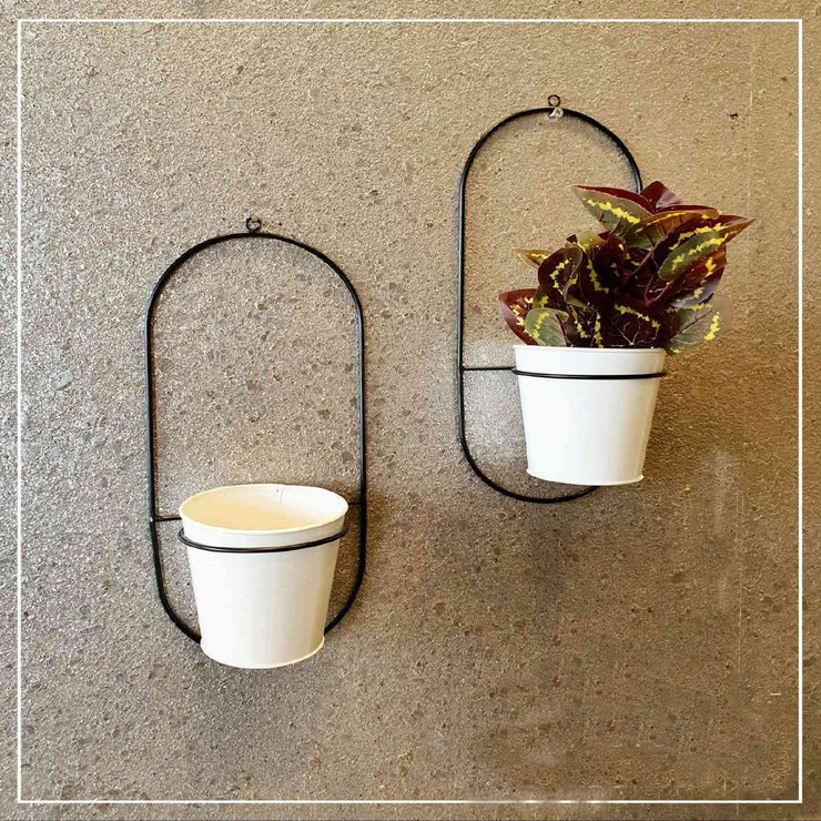 WALL MOUNTED BLACK METALLIC PLANTER