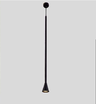 MODEST DUPLE BLACK HANGING LIGHT