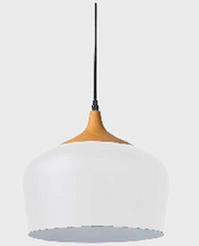 MAGESTIC MATTE PENDENT HANGING LIGHTS