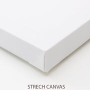 VISTA ABSTRACT PICTURE FRAMES WITH GLASS- SET OF 2