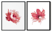 RED ROSE FLOWERS BOTANICAL PICTURE FRAMES WITH GLASS- SET OF 2 (2) By Alexander A. Parks