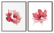 RED ROSE FLOWERS BOTANICAL PICTURE FRAMES WITH GLASS- SET OF 2 (2) By Alexander A. Parks