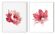 RED ROSE FLOWERS BOTANICAL PICTURE FRAMES WITH GLASS- SET OF 2 (2) By Alexander A. Parks