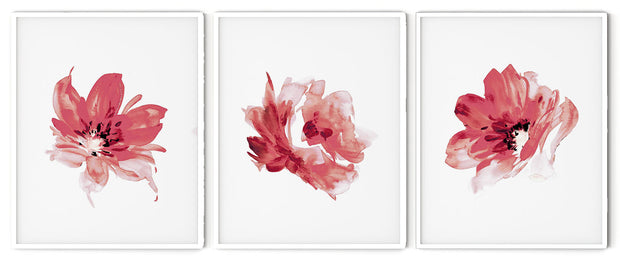 RED ROSE FLOWERS BOTANICAL PICTURE FRAMES WITH GLASS- SET OF 3 (1) By Alexander A. Parks