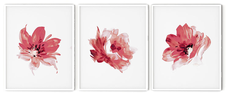 RED ROSE FLOWERS BOTANICAL PICTURE FRAMES WITH GLASS- SET OF 3 (1) By Alexander A. Parks