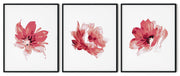 RED ROSE FLOWERS BOTANICAL PICTURE FRAMES WITH GLASS- SET OF 3 (1) By Alexander A. Parks