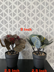 BLACK FIBER PLANT POT WITH BROWN LEAVES