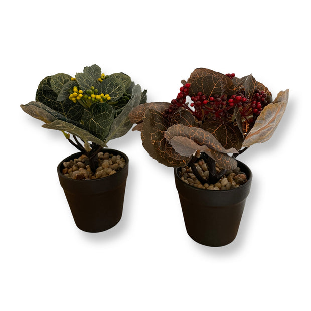 BLACK FIBER PLANT POT WITH BROWN LEAVES