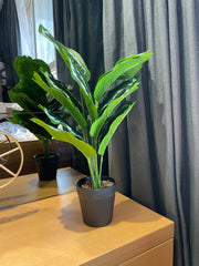 BROWN FIBER INDOOR PLANTER WITH GREEN LEAVES