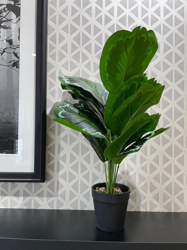BROWN FIBER INDOOR PLANTER WITH GREEN LEAVES